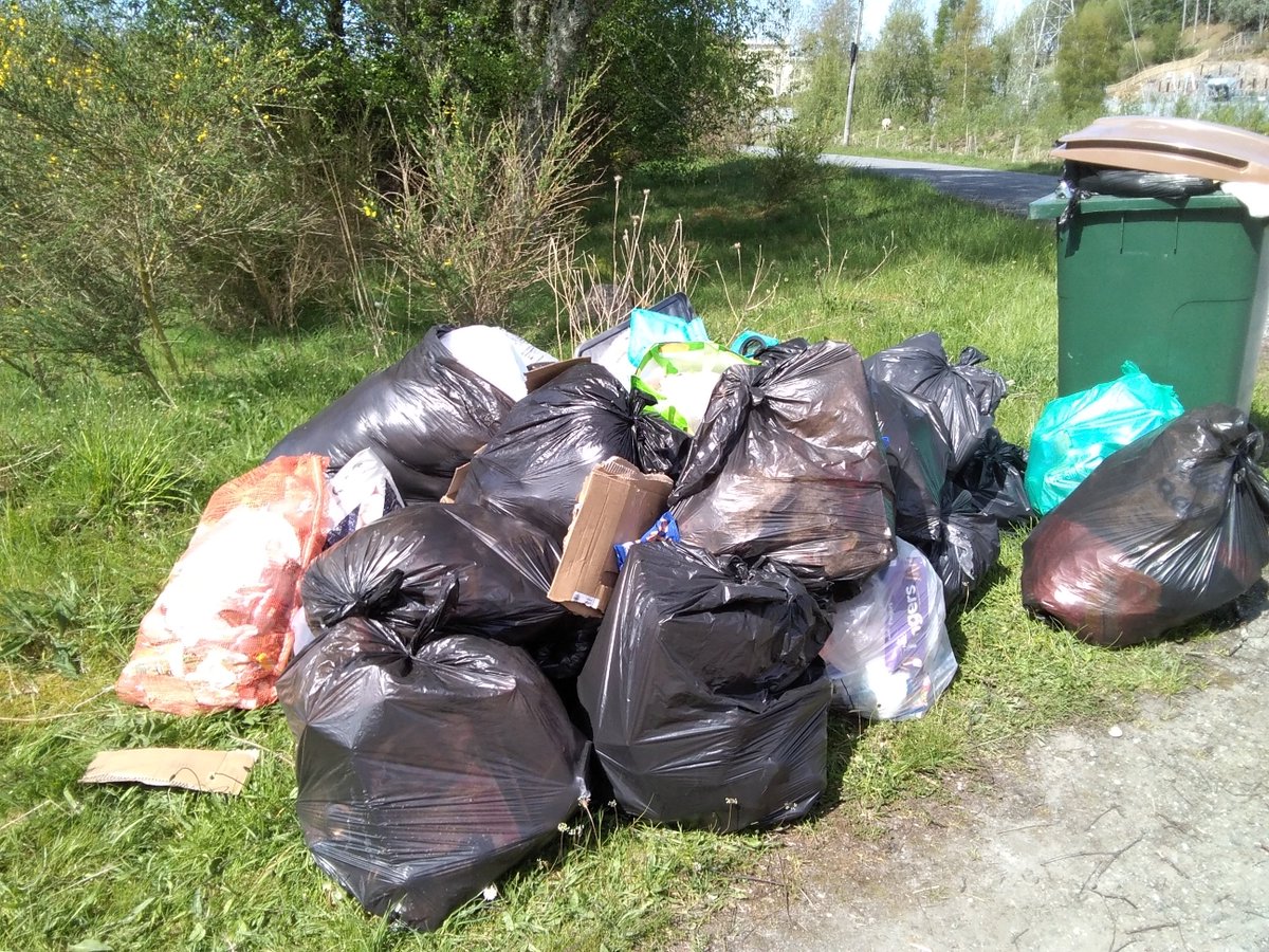 Conservation_Officer tweet media