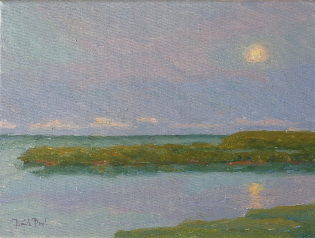Happy Memorial Day to all twitter friends and lovers of the natural world.   Moon rising in Sarasota Bay    
 9 x 12 in.  oil on canvas  David Paul Elsea
#moonrise #sunrise #landscape #naturelovers