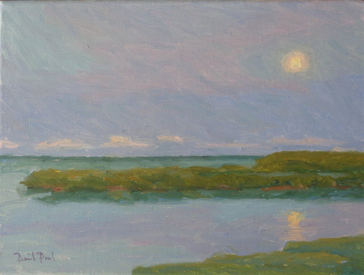 Happy Memorial Day to all twitter friends and lovers of the natural world. Moon rising in Sarasota Bay 9 x 12 in. oil on canvas David Paul Elsea #moonrise #sunrise #landscape #naturelovers