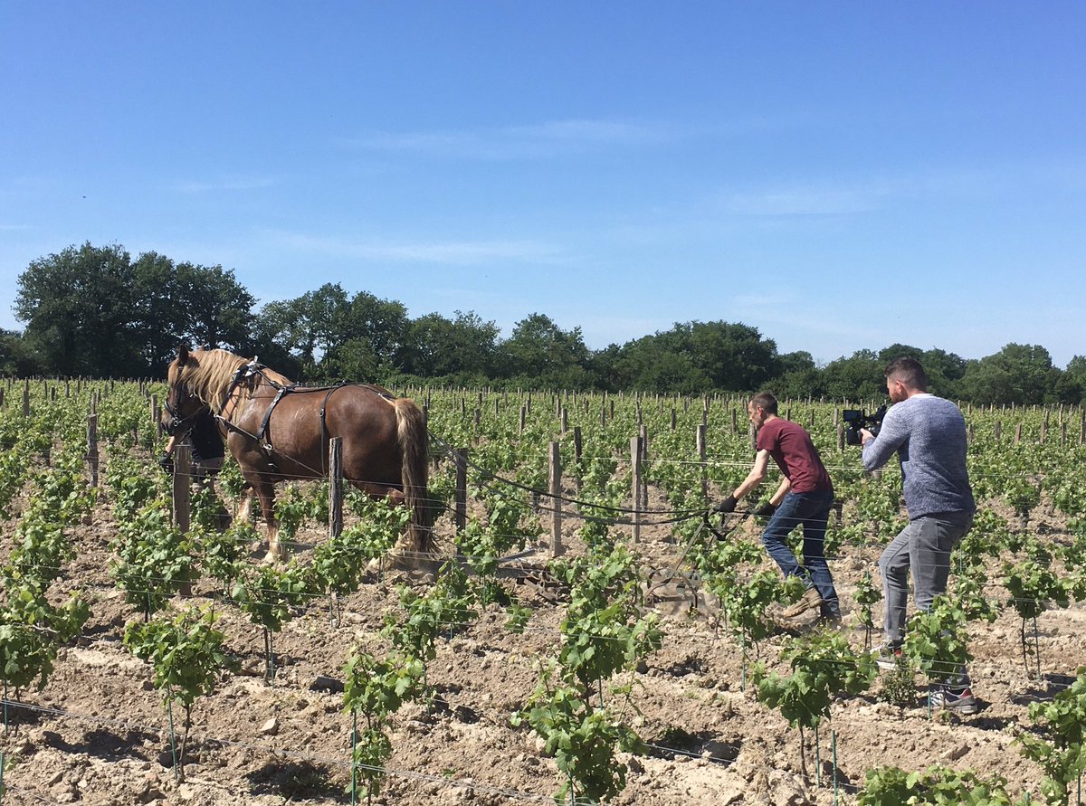 Retrouver les coulisses de Sarmance et <a href="/VillaStAntoine/">VillaStAntoine</a> dans l’émission <a href="/WilliamAMidi/">William à Midi</a> ce jeudi sur C8 au cœur du #vignoblenantes #clisson
#levignobledenantescestici !
<a href="/Clisson_LAggloh/">Clisson L'Aggloh!</a> <a href="/Lentrainante/">L'Entraînante Sèvre & Loire</a> <a href="/ClissonVille/">Ville de Clisson</a> @Tourisme44 <a href="/levoyageanantes/">levoyageanantes (compte inactif)</a>