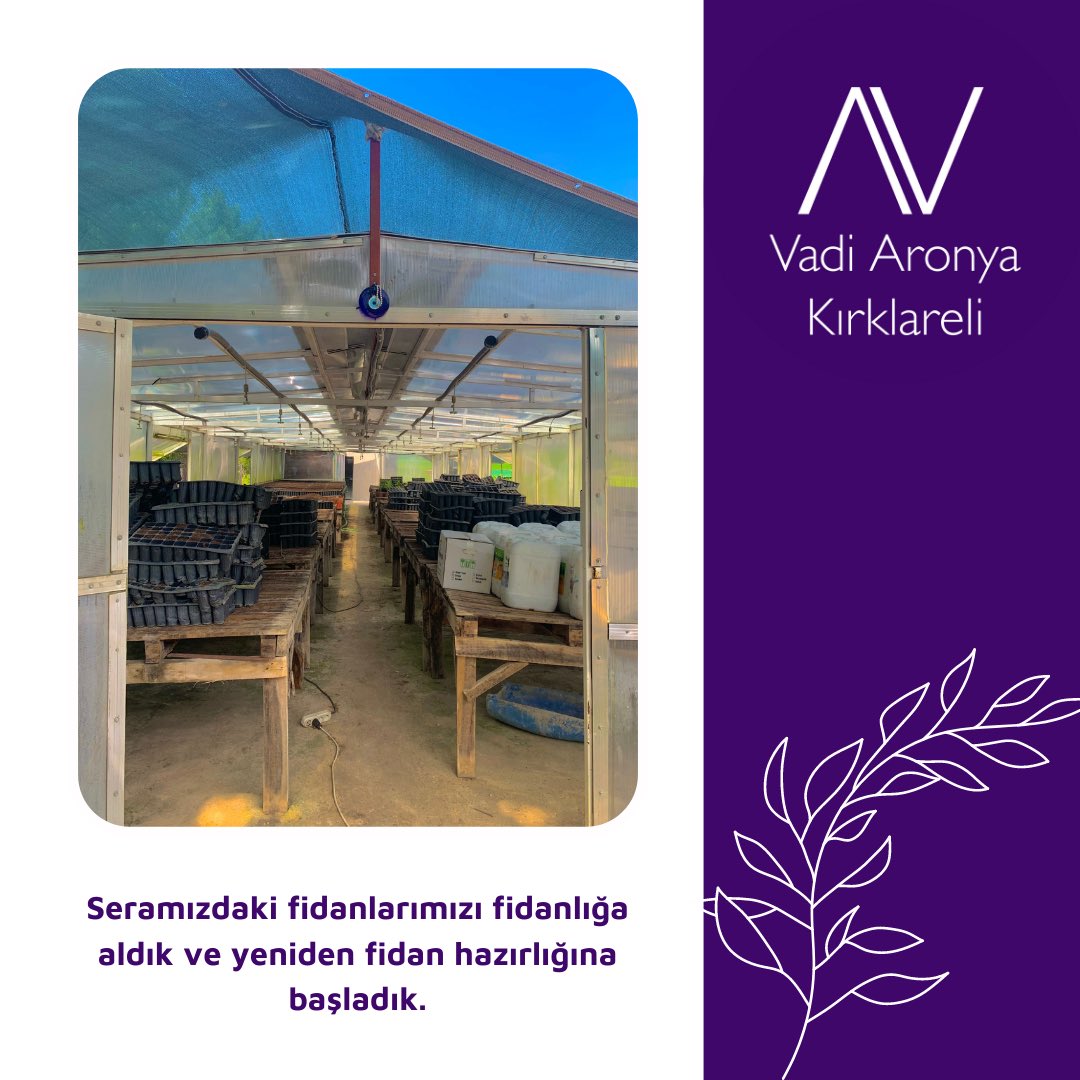 VadiAronya's tweet photo. Mayıs ayının bizim için özeti👇🏻🫐🌱

#aronya #aronyameyvesi #aronia #aroniaberry #berry #rusyabanmersini #antioksidan https://t.co/4VI6WSXZLJ