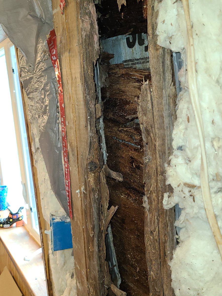 jamieson4pres's tweet photo. When you go to do a "simple" drywall replacement and get more than you bargained for...go me on Memorial day. #renovations #waterdamage #renovation https://t.co/WV9D8Gw86C