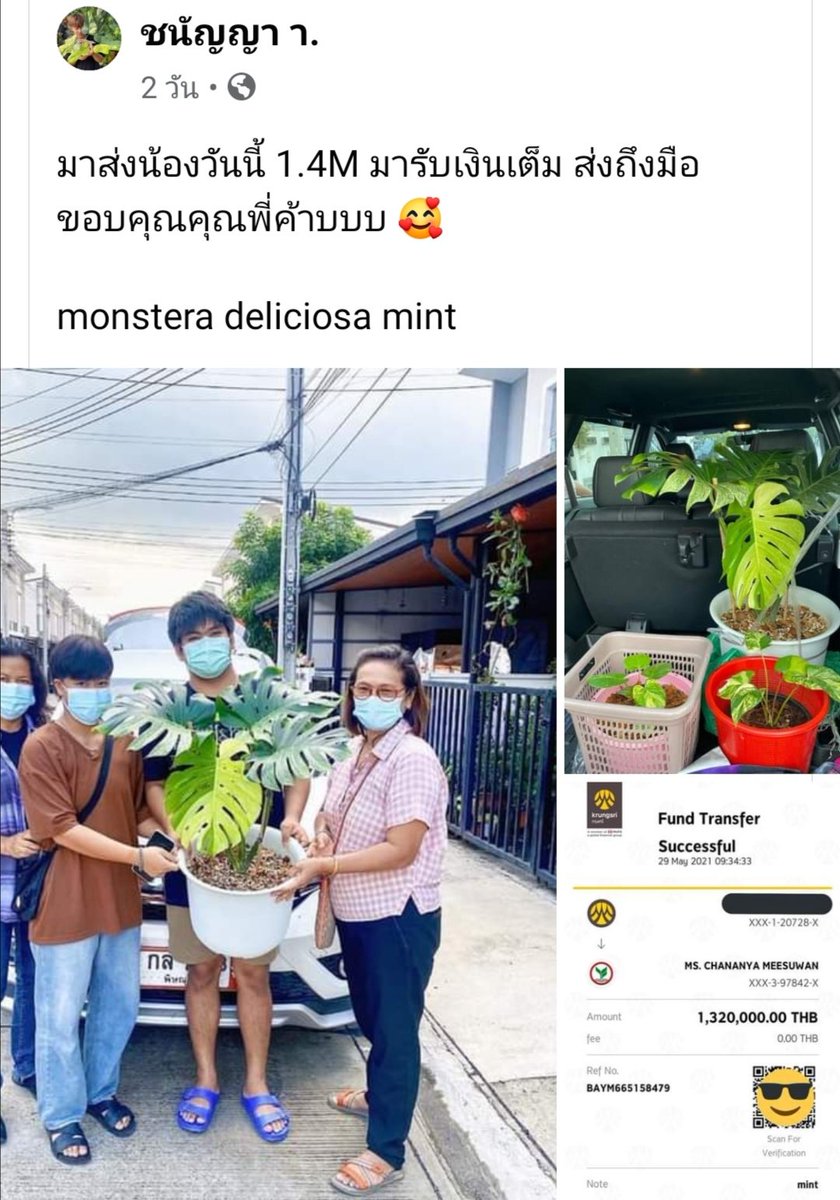 Biofight1's tweet photo. @phoenix8543 ตัวอย่างการซื้อ-ขาย ครับ
ต้นนี้ 1,400,000 https://t.co/dA1a3XjTcH