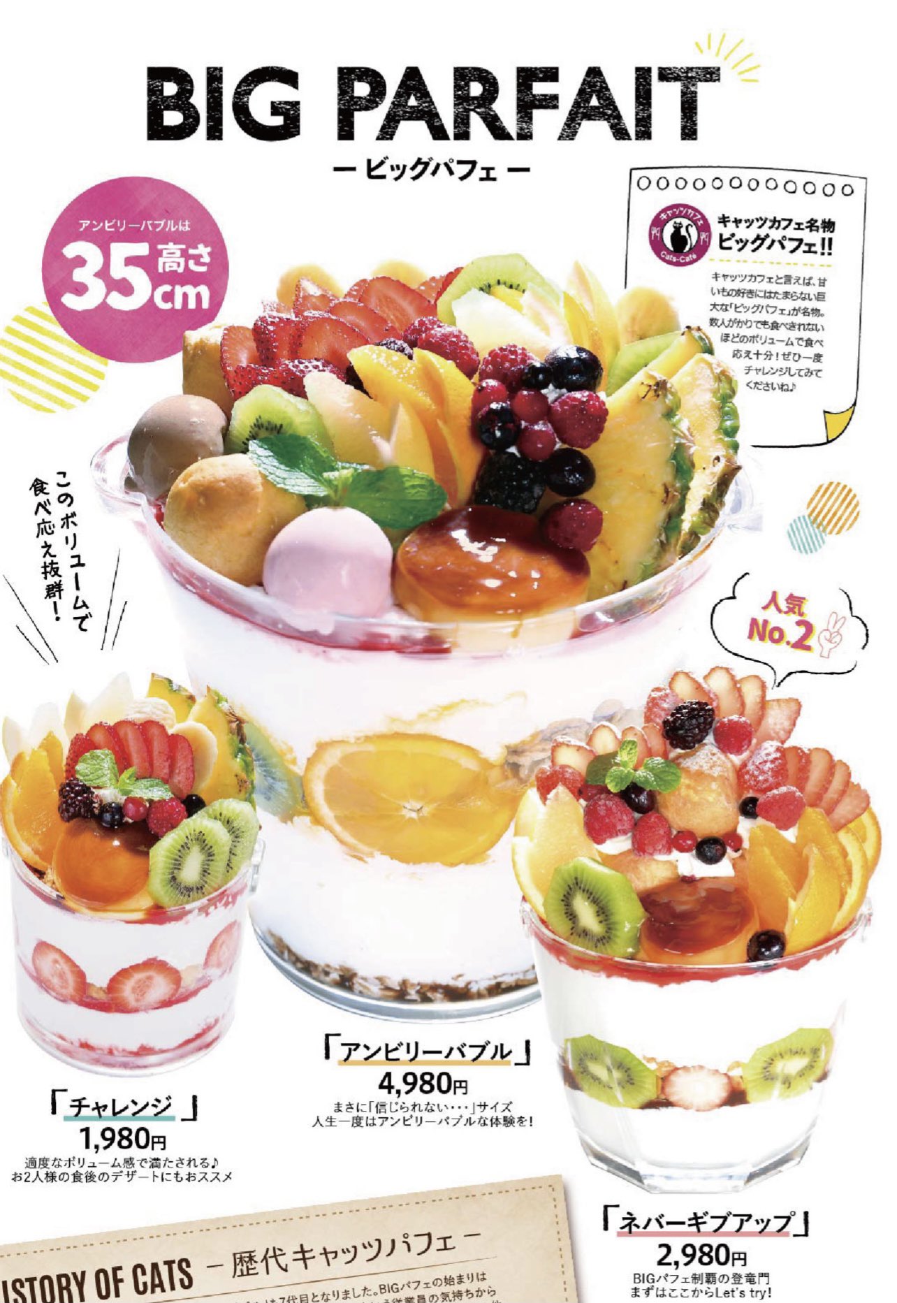 تويتر どらちゃん على تويتر そろそろfc岐阜の試合後に キャッツカフェのネバーギブアップチャレンジしたいな T Co 1lwrzpf7wc