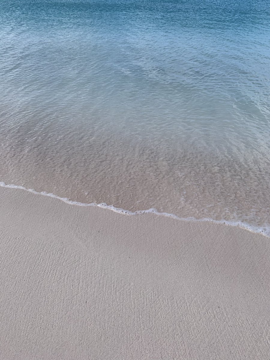 The only type of #Mondayblues we want to experience #barbados #eltigrebarbados