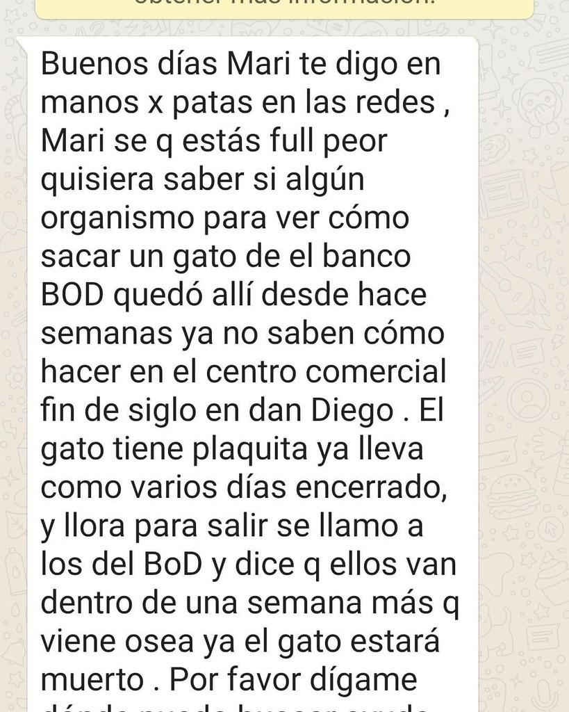 ManosXpatas's tweet photo. S.O.S URGENTE AYUDA POR FAVOR PARA ESTE GATO Y SU DUEÑA S.O.S ESTA ENCERRADO Y LLORA SEÑORES @BODoficial @Alc_SanDiego @BomberoSanDiego @PCCarabobo AYUDA POR FAVOR #fullRT para que llegue a más personas el gato TIENE DUEÑO ESTA SUFRIENDO https://t.co/Yj2vUtVAfX