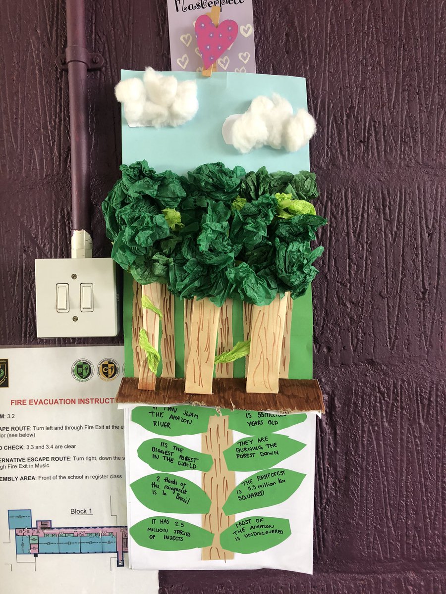 DHS_Social's tweet photo. S2 Amazon- WOW!! 😮 Miss Scott’s class have certainly been hard at work, they have created some beautiful layers of the Amazon posters 🌳 🐦 
#socialsubjects #amazon #brazil #amazonrainforest https://t.co/mQeGyP31Ip