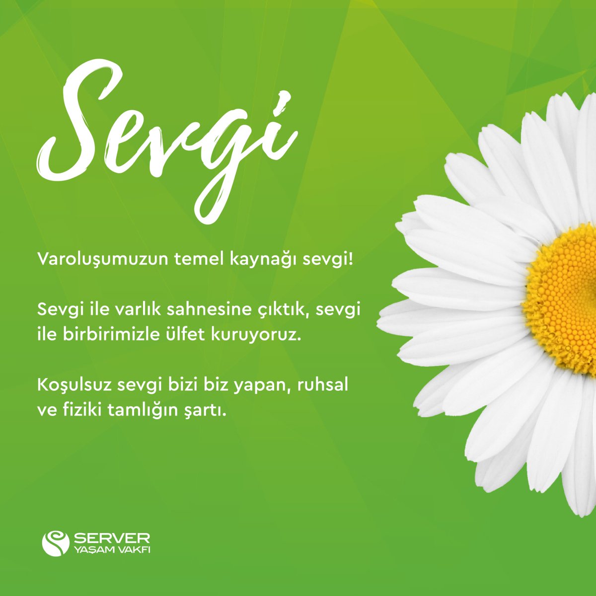 serveryv's tweet photo. Sevginin paylaştıkça çoğalacağını biliyoruz ve sizleri sevmeye davet ediyoruz. 😊🌹

#ServerYaşamVakfı #İyilik #Sevgi #Birlik #8Milyar https://t.co/p3zxxrgz3D