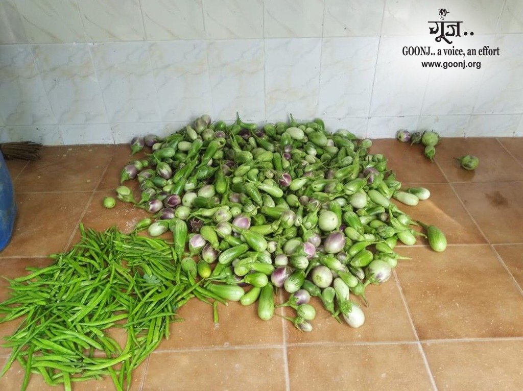goonj's tweet photo. Creating kitchen gardens in the time of Covid
#UpdateFromTheGround
Through #RahatCovid - Under #DignityForWork (DFW) initiative, people of Keelaipalur village, Cuddalore district, #TamilNadu, created kitchen gardens to ensure access to fresh fruits and vegetables everyday. https://t.co/Zqqa6DuqDh