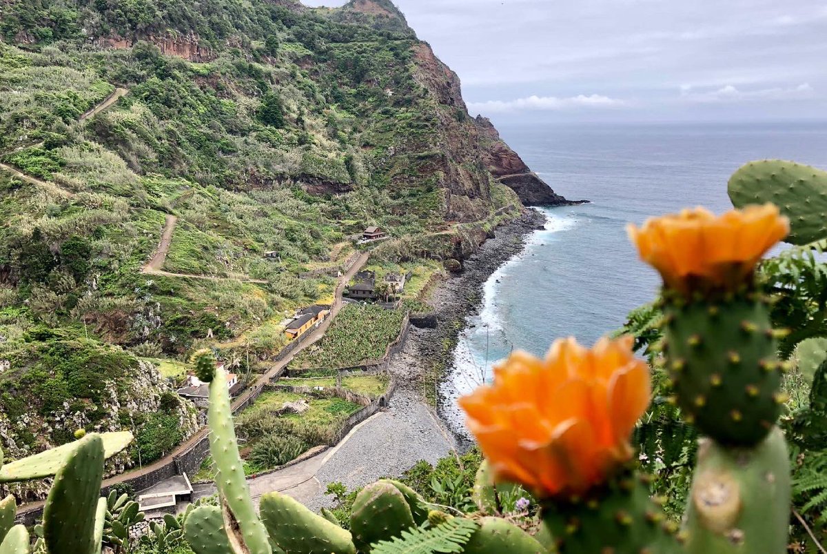 annafrosty's tweet image. MADEIRA ADVENTURE🌺 
with @skyrunmadeira and @AdventuresRun 

🌺October 10-16th 2021

Join us in Madeira, running, cuisine, flowers, sweet wine, relaxing and stretching with yoga, canyoning, surfing and exploring 

trailrunadventures.com/madeira