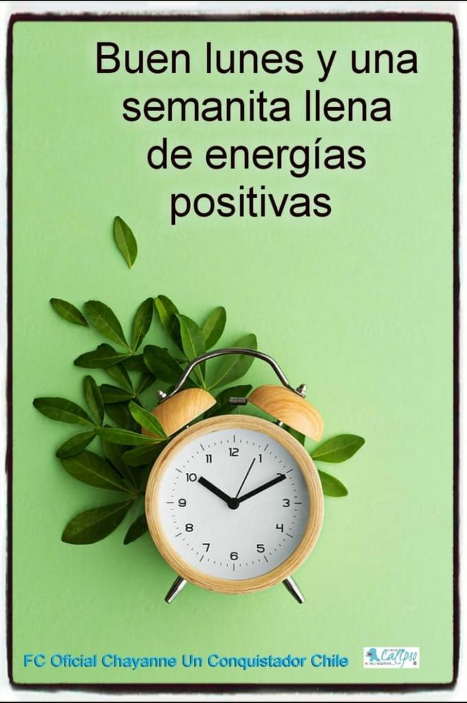 sandra lorena tweet media