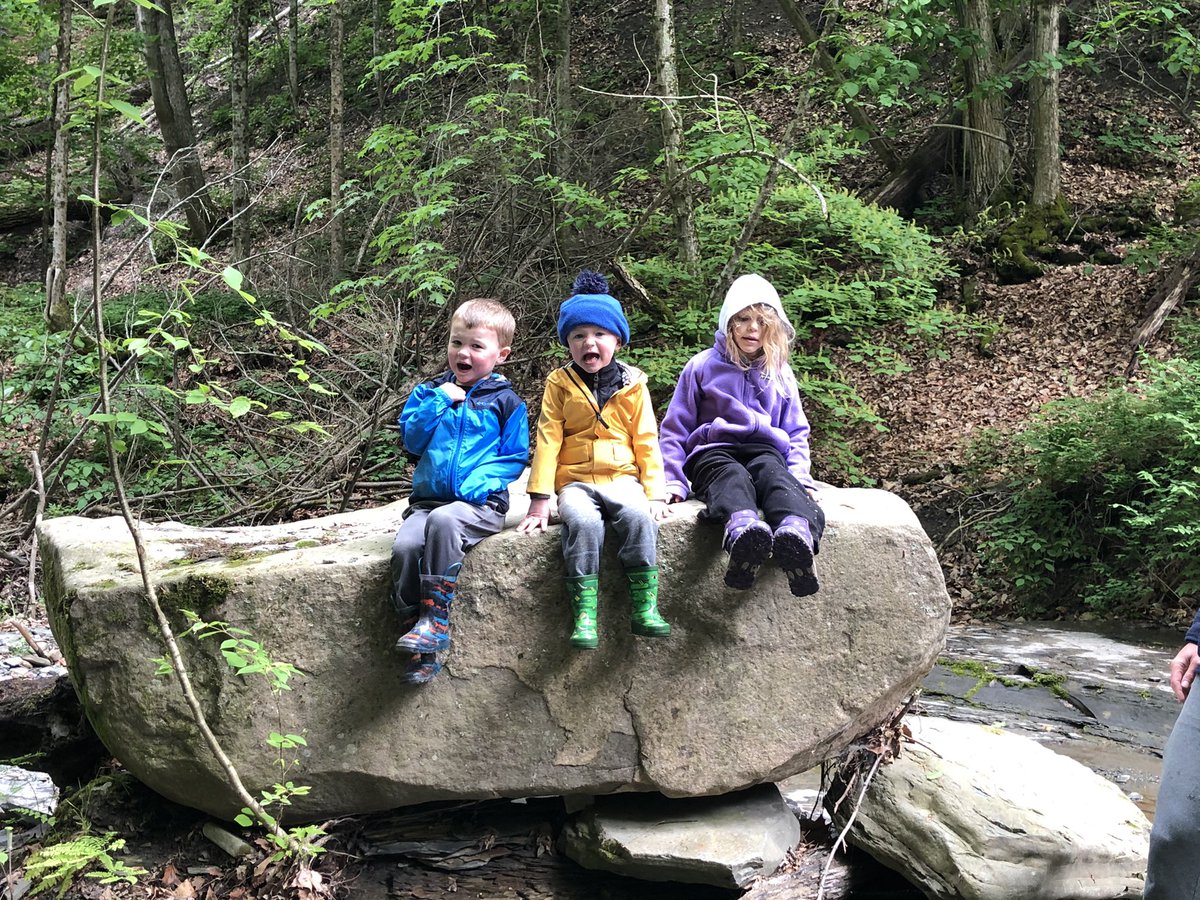 Sara Morley tweet media