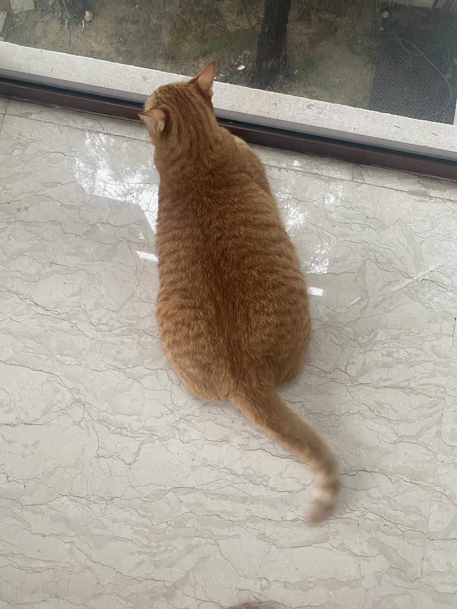 SooHooKY's tweet photo. @BakarMona Survived Monday too! https://t.co/GhID1oswCG