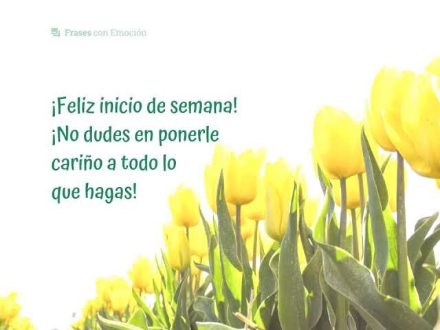 curiosadas's tweet photo. ¡Buen día a todos! https://t.co/XPFWHJHfIF