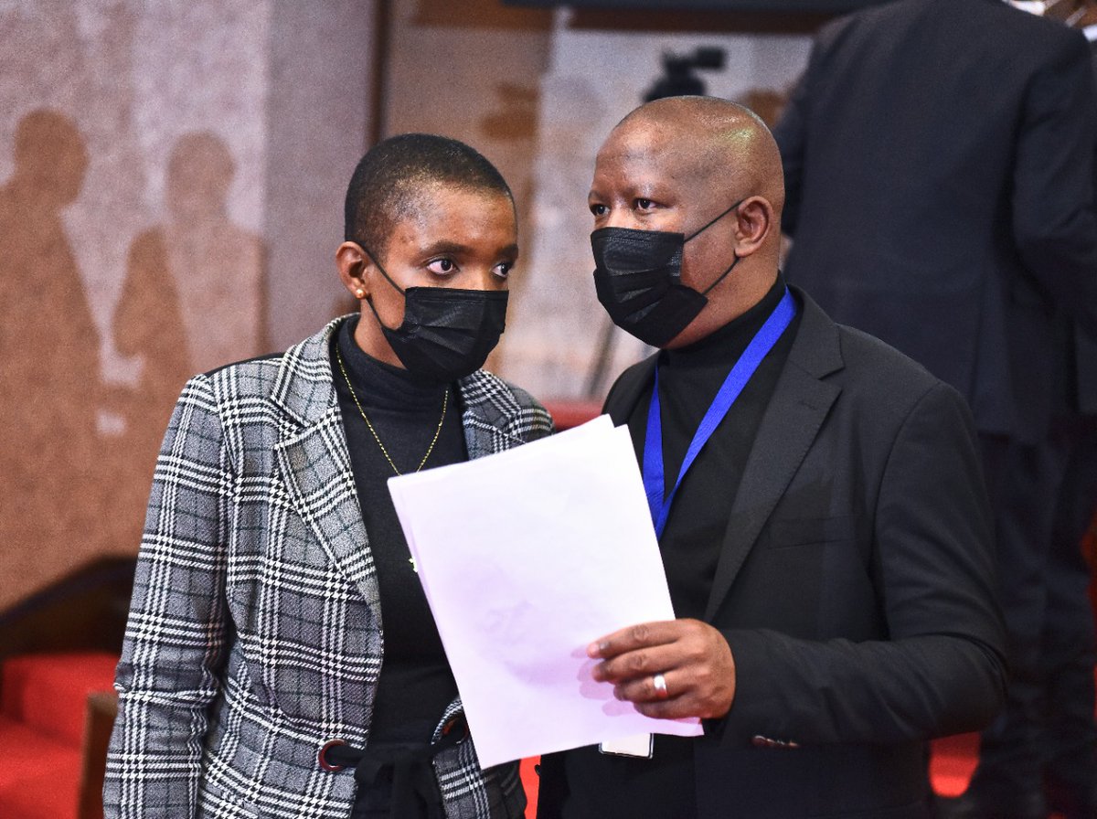 CIC <a href="/Julius_S_Malema/">Julius Sello Malema</a> with honorable Barbara Rwodzi from Zimbabwe at the Pan African Parliament today.