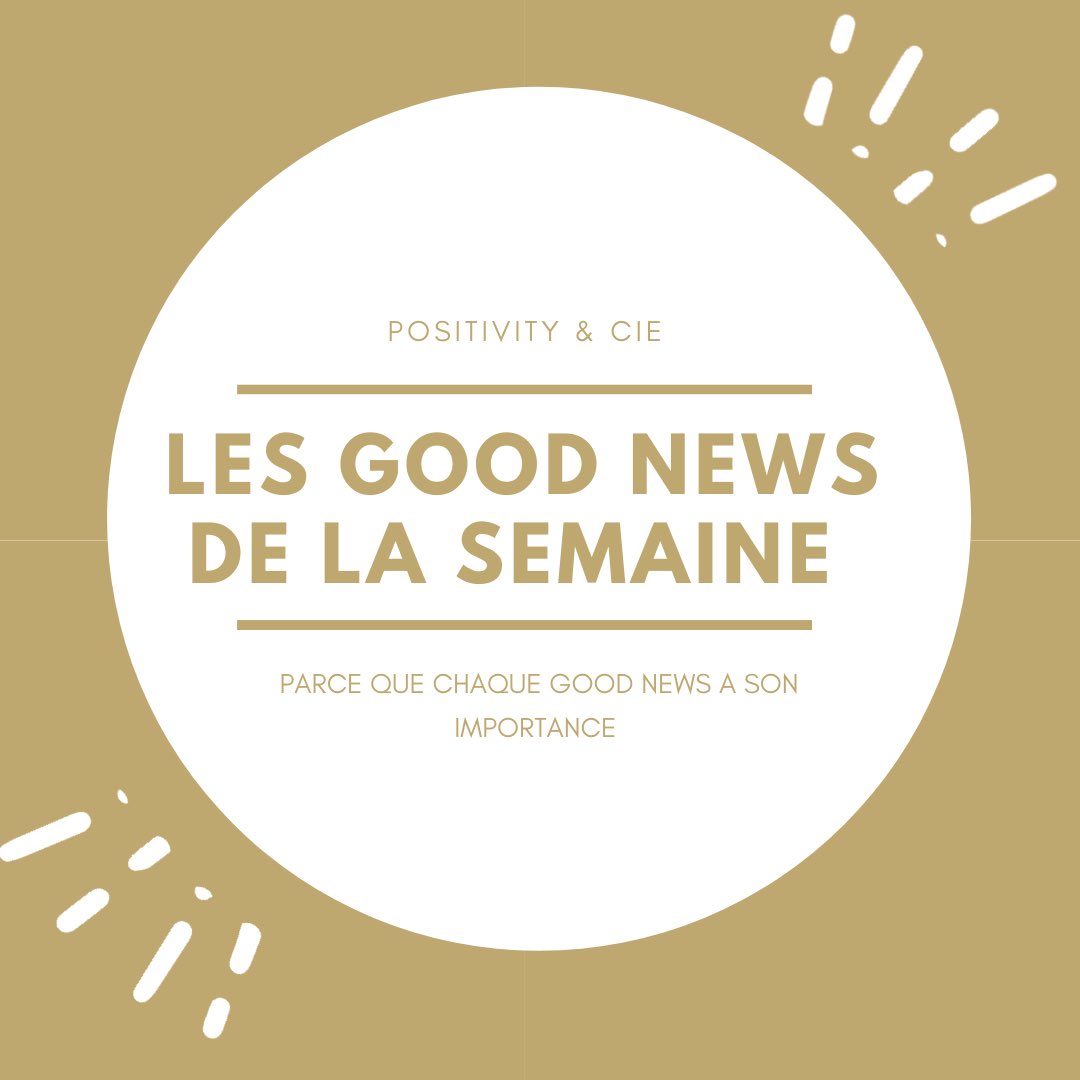 CiePositivity's tweet photo. Salut, on se retrouve pour les 5 goodness de la semaine :

#harcèlement #educationnationale #ambassadeurs #namibie #allemagne #génocide #streetart #colorfestivalparis #poulesencages #loiegalim #paysbas #accordsdeparis #climat https://t.co/Dxw5umbsrj