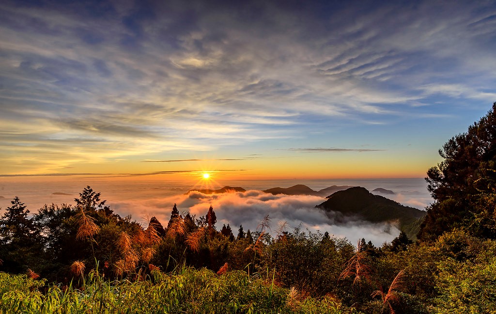 LabxSocial's tweet image. &quot;Hope lies in dreams, in imagination, and in the courage of those who dare to make dreams into reality.&quot; - Jonas Salk✨

#mondaythoughts #PhotoOfTheDay #quote