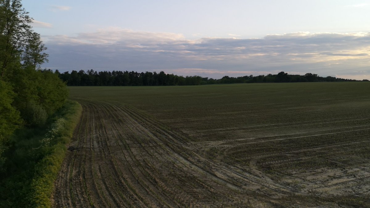 Waiting on Wild Boar...
#Hunting #Hunter #Jagd #Jäger #Jakt #Jagt #Chasse #Caza #Caccia #Vadász #Lovec #Lovac #mauserm18 #pulsarnightvision #ifeelsLOVEnia 🇸🇮