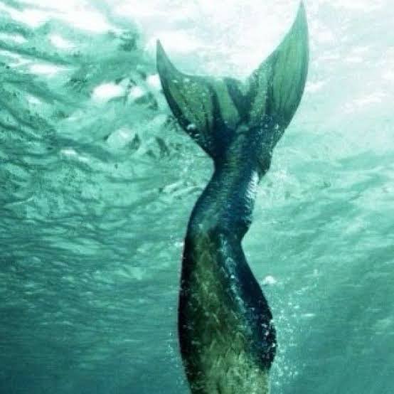 Arielqueen 🧜🏻‍♀️ ★彡 tweet media