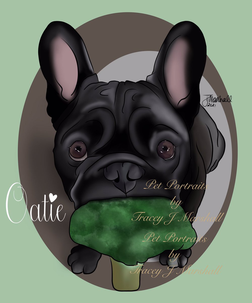 #frenchbulldog #frenchie #petportraits #dogs #art #digitalart