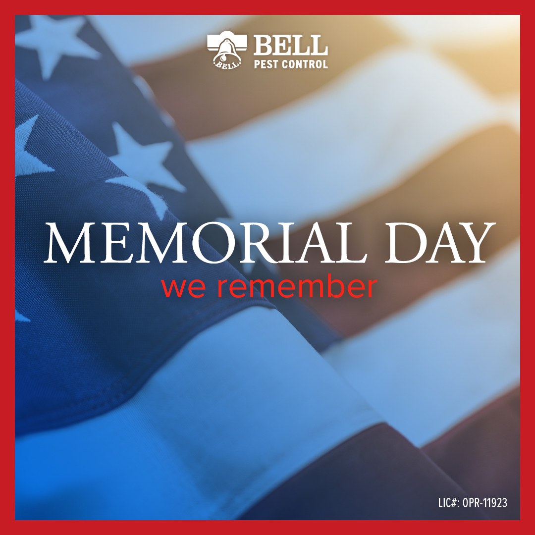 BellPestControl's tweet image. Happy Memorial Day 2021! #memorialday #memorialdayweekend #memorialday2021 #ultimatesacrifice #weremember