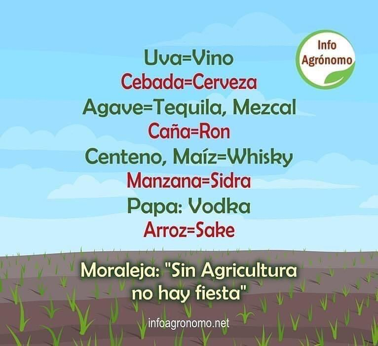 matiaslongoni's tweet photo. está bueno este enfoque... https://t.co/H6p9vRum16
