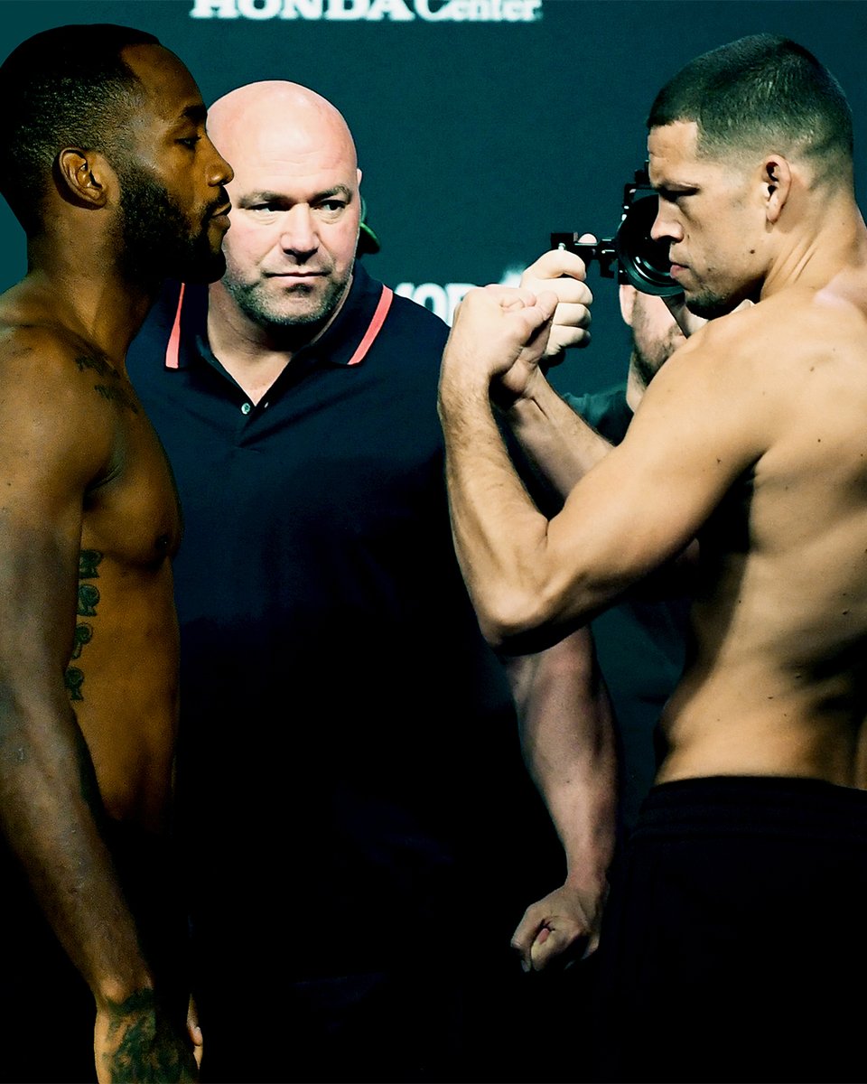 253 Adesanya Ufc 253 Live Free Ufc Stream 253 Just The Beginning