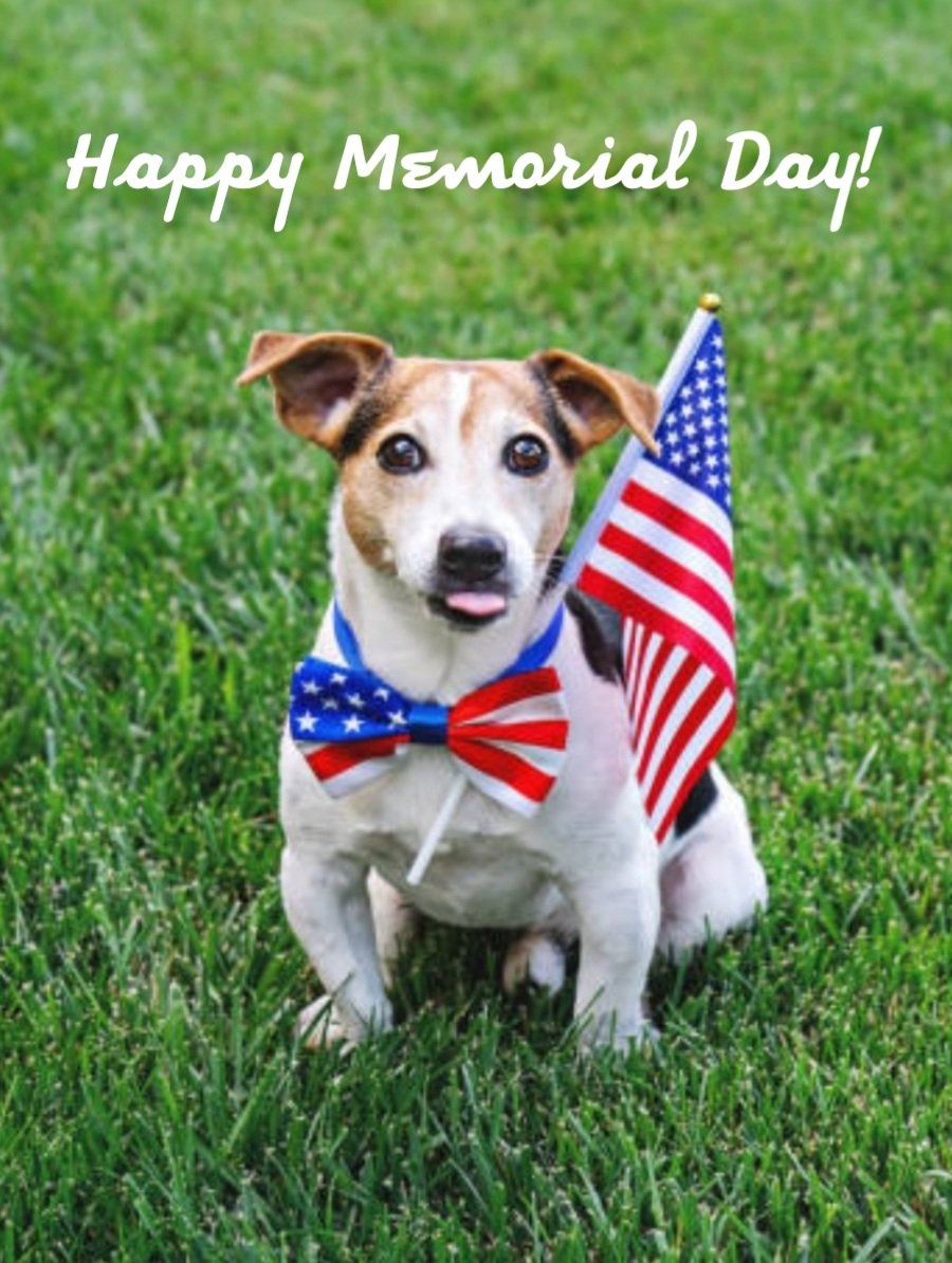 Today we honor all service men, women, and dogs who served and gave their lives so we could have ours.
#MemorialDay #Honor #remember