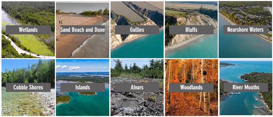 CoastalCentre's tweet photo. #lakehuron has 10 different types of ecosystems along the shoreline. To learn more about our living shoreline register for our June 8th webinar (Link in bio)⁠
⁠
#sandbeachesanddunes #bluffs #rivermouths #nearshorewaters #wetlands #woodlands https://t.co/vtZn8IWLAd
