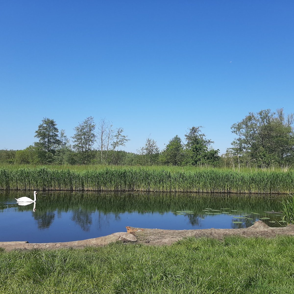 WendelavanBeek's tweet photo. Deze maandag begon met dit uitzicht.
Goed begin van de week toch?
Als dit de voorbode is voor de rest van de week, dan hoor je mij niet klagen.

Hoe begon jouw week? https://t.co/rAsHq64PlW