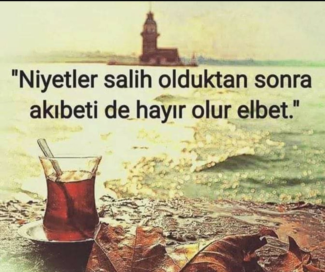 ŞAMİL KURTOĞLU (@fa0445fe139e48f) on Twitter photo 