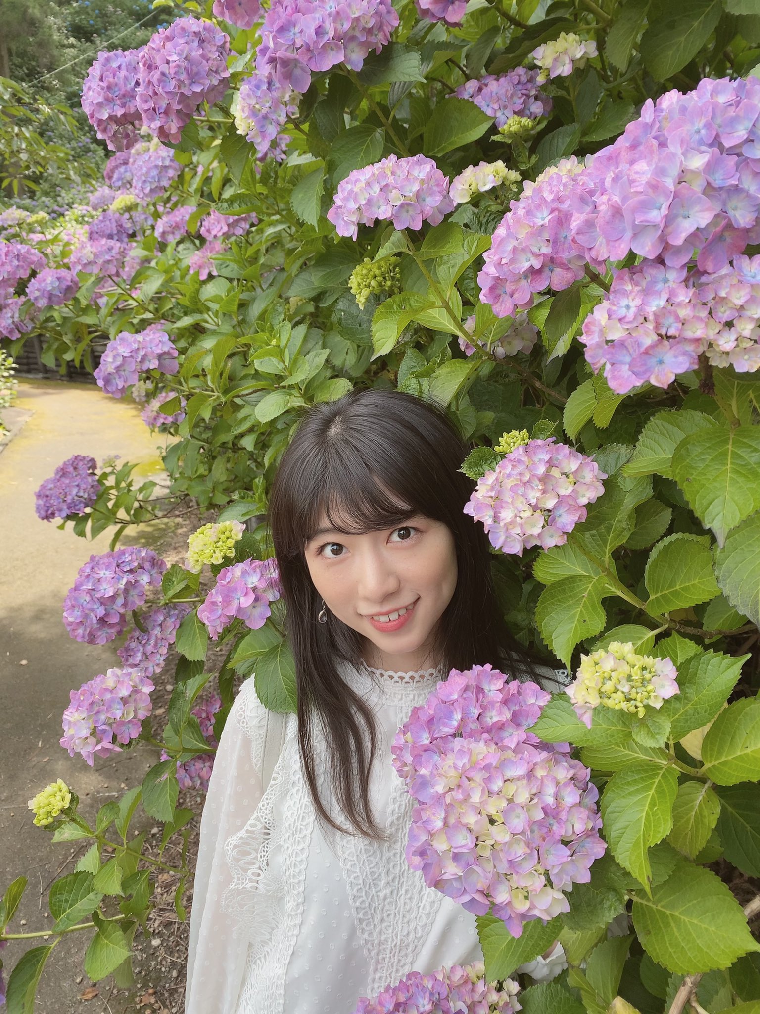 秋葉公園 Twitter Search Twitter