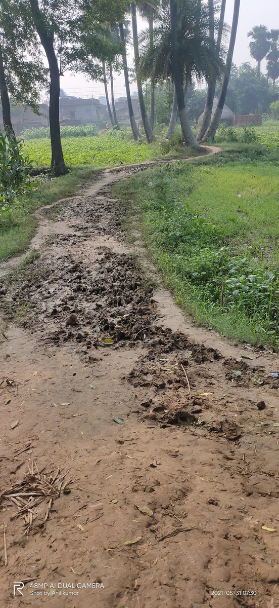 Anilkum01979876's tweet photo. @BiharRuralWorks mai anil,  village Faraspur, post- mohiuddinpur, ps- chicksora, dist- nalanda, bihar- 801302.Faraspur gaon ko main road (hilsa- paveri) sea jornea kea sambandh mea. Sir Faraspur gaon kea paschim tarf sea jo raod hai us road ko main road sea jornea ki krupa karea. https://t.co/ArpEERNyQI