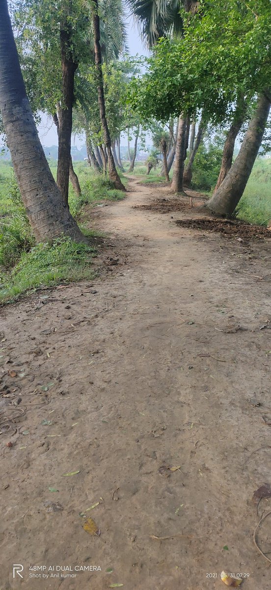 Anilkum01979876's tweet photo. @BiharRuralWorks mai anil,  village Faraspur, post- mohiuddinpur, ps- chicksora, dist- nalanda, bihar- 801302.Faraspur gaon ko main road (hilsa- paveri) sea jornea kea sambandh mea. Sir Faraspur gaon kea paschim tarf sea jo raod hai us road ko main road sea jornea ki krupa karea. https://t.co/ArpEERNyQI