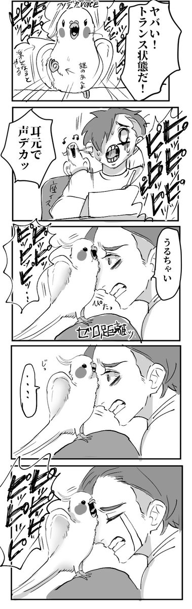 元気
#オカメインコ
#エッセイ漫画
#漫画が読めるハッシュタグ 