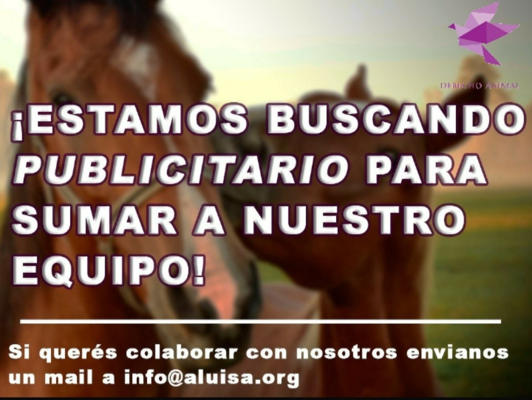 aluisaorg's tweet photo. Ahora vos podés formar parte de este equipo. 💪

Estamos buscando 👀una agencia de publicidad con ganas de ayudar 🐹🐰🐱🐶🐮

👆Si tenes ganas de sumarte envianos un mail a info@aluisa.org

Gracias! 🙌

#Busqueda
#AyudaAnimal 
#colaborar 
#amoranimal 
#Aluisa https://t.co/GJP7Ir4ppX