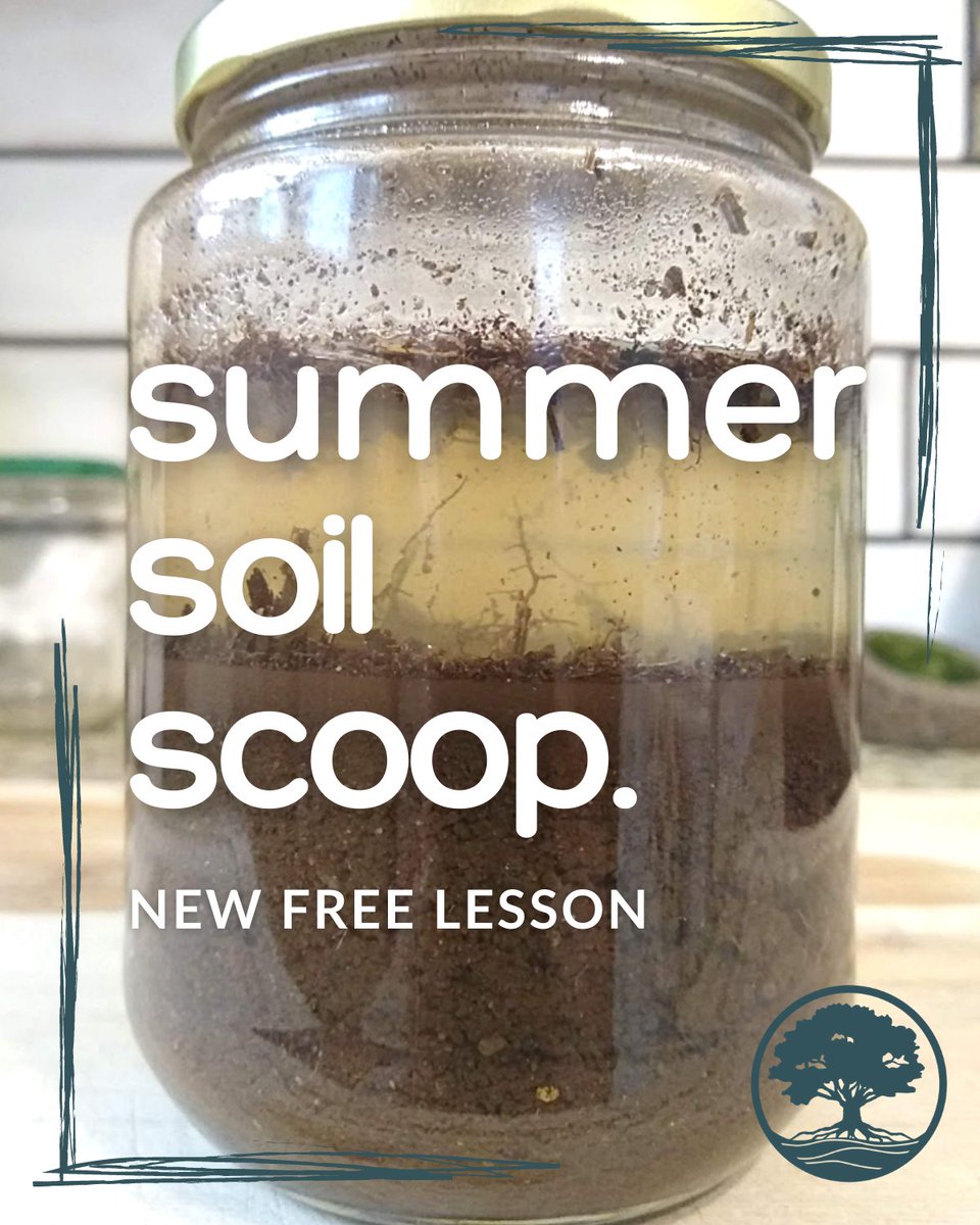 Check out our newest Learn at Home lesson: Summer Soil Scoop. Students learn about soil texture and the ingredients that make up soil &amp; experiment to determine what’s in the soil around them! 
#edchat #pblchat #lrnchat #scienceed #disted #k5online