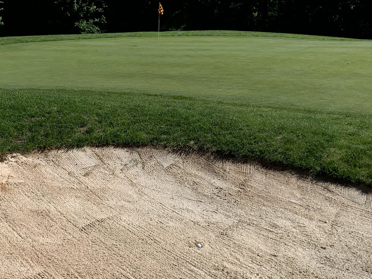 Fried egg on <a href="/kgwhite531/">Kevin White</a>’s birthday. Trying to cover all of the @the_woke_yolk bases. 

#sgsbirthdayshoutout <a href="/the_fried_egg/">TheFriedEgg</a> <a href="/BrendanPorath/">Brendan Porath</a>