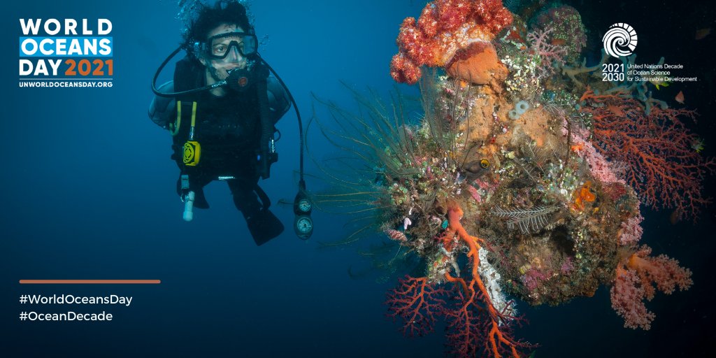 UNOceanDecade's tweet photo. #WorldOceansDay 🌊 On 8 June, join the webinar ‘The Coastal Seascapes We Want! – Voices of Women Scientists in Ocean Research’ that will bring together women scientists and ocean activists. 🐋

ℹ️: https://t.co/gz7bXdHO7J https://t.co/BtKHXjtLFD