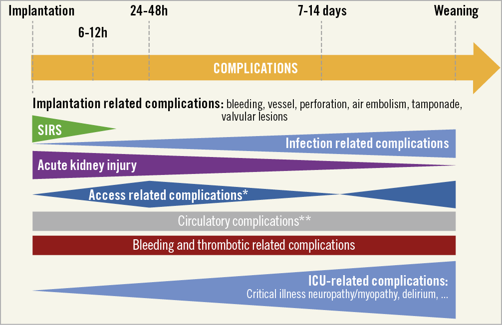 📌Joint #EAPCI/#ACVC expert consensus 📝 on percutaneous ventricular assist devices #LVAD
🔸Pathophysiology of cardiogenic shock (CS)
🔸pVAD in several scenarios: high-risk PCI, high-risk AMI w/o CS, LV&amp;CS, RV&amp;CS, BV&amp;CS
🔸Clinical monitoring &amp; Complications
#RadialFirst #CardioEd