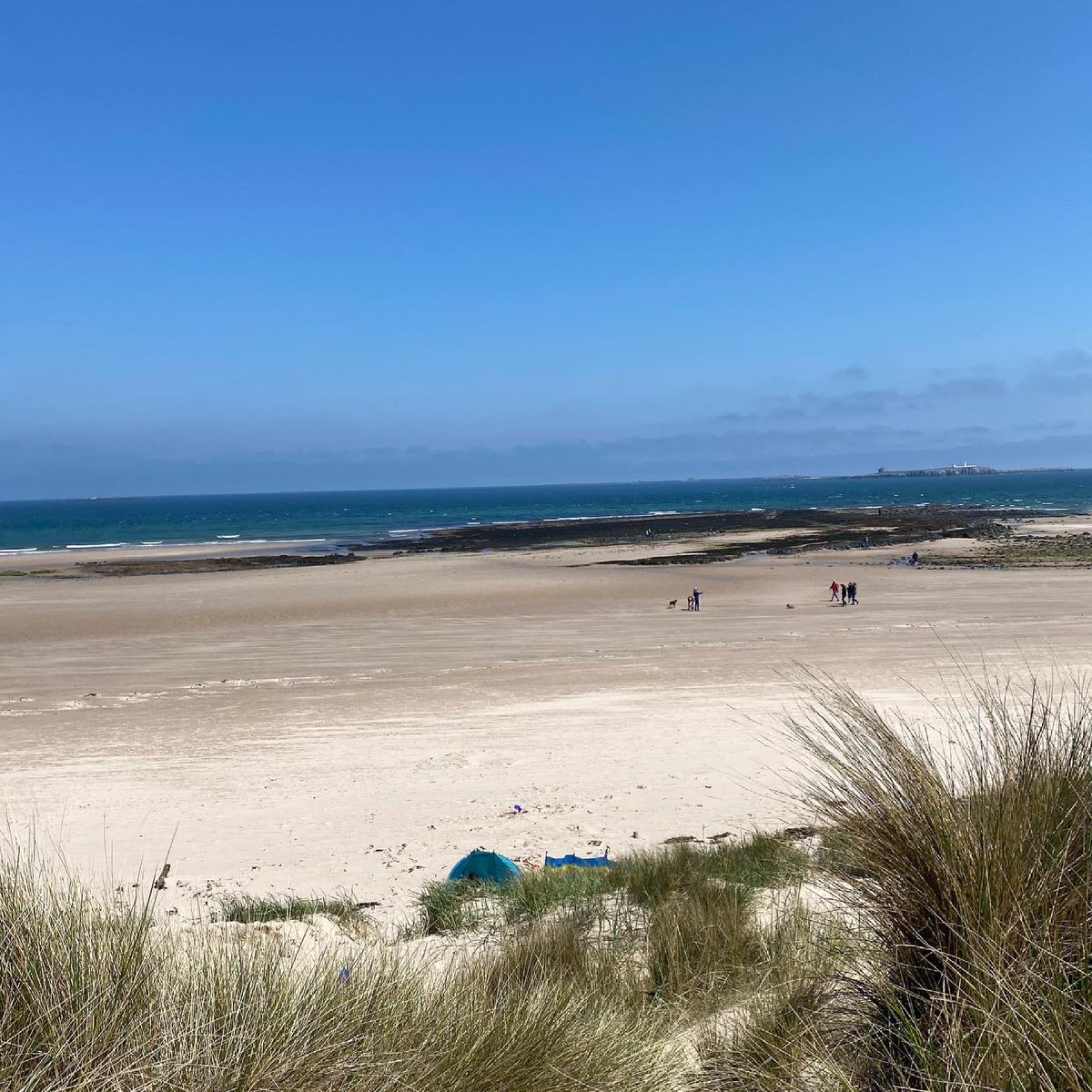 Nothing better than a windswept #bamburghbeach ❤️