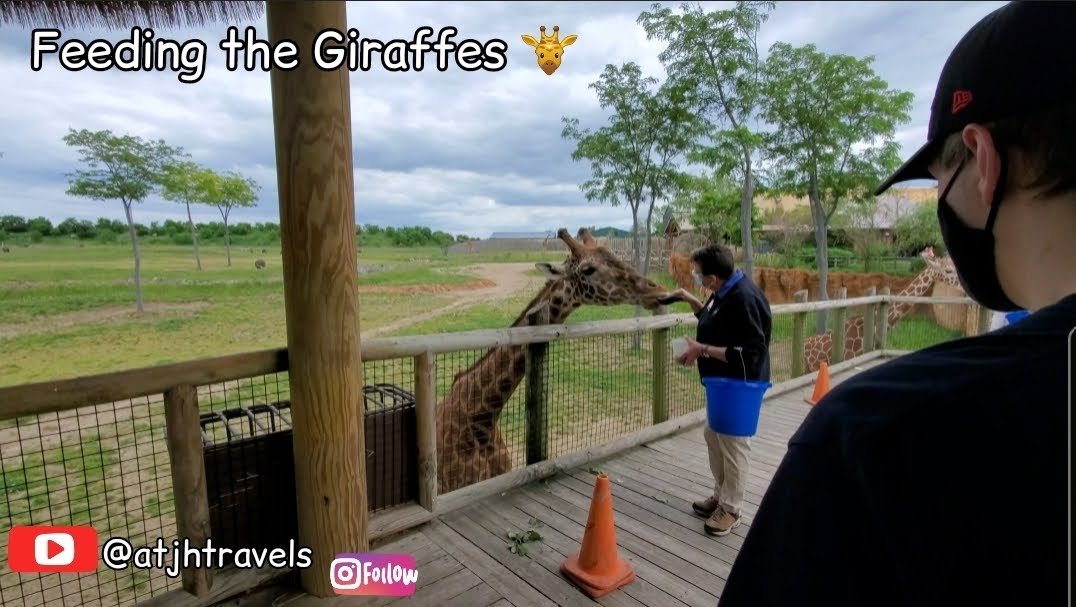 atjhtravels's tweet photo. Don't Miss The latest videos up YouTube
#youtubeviews #newyoutube #youtube #youtubers #newcontent #newvideo #watchit #share #sharethisout #atjhtravels #tweet https://t.co/ZxlPZsrIHb
