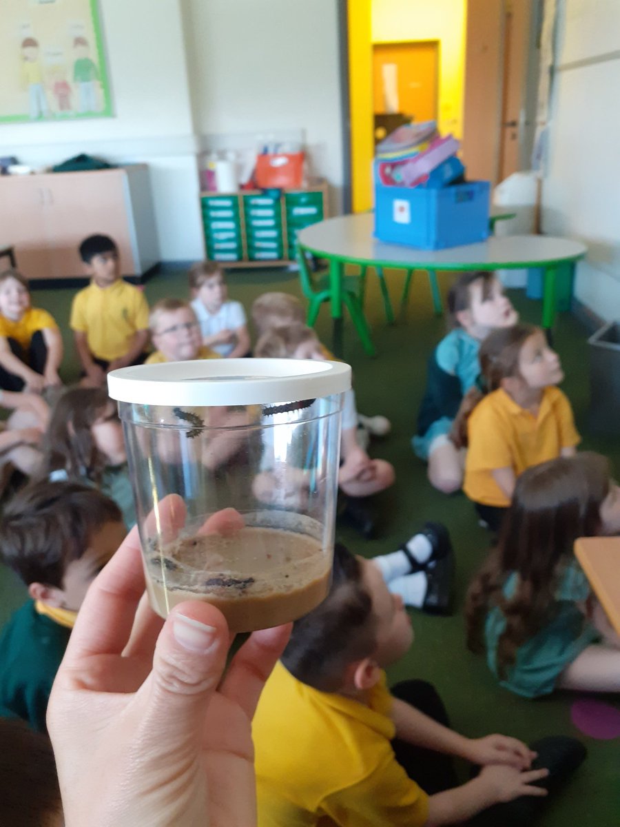 Mrs_Chapman_'s tweet photo. P1 met their new class visitors today, we are looking forward to watching them grow and transform 🐛 @stmungoalloa https://t.co/NQvKUizY5a
