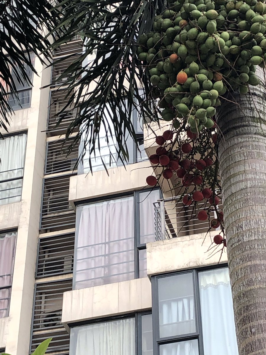 Esp32Cam's tweet image. Share the beauty I saw in the morning