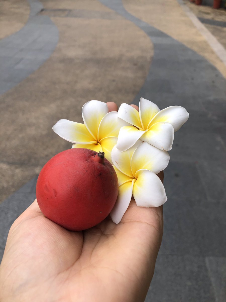 Esp32Cam's tweet image. Share the beauty I saw in the morning