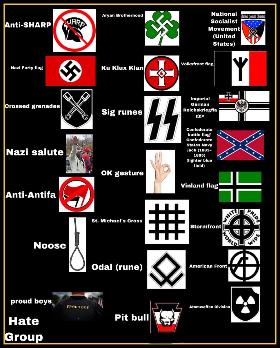 The Young Black Panther Party (@tybpp1) on Twitter photo 