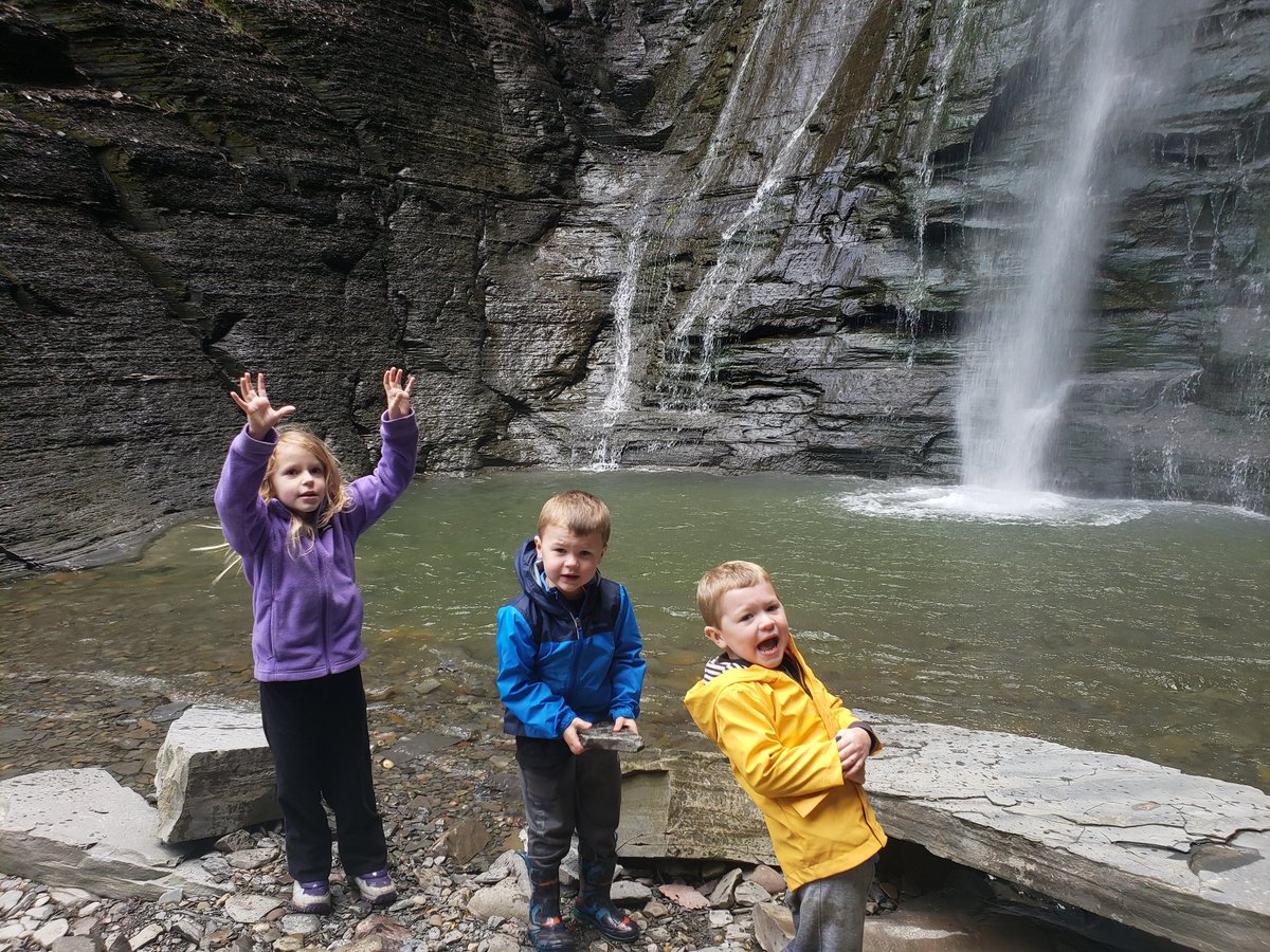 Matt Morley tweet media