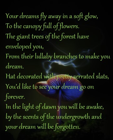 Écrit sur la photo de Luis Salazar qui a encore frappé mon cœur. @AgorapolFr <a href="/eveselivre/">Eve Lyne 📚🖋📚☕🖋📖⚘📖⚘📖</a> <a href="/LouveAlpha5/">Louve Alpha</a> <a href="/DInfos/">Michel L'Arverne</a> <a href="/graindesable20/">Capucine🇫🇷🇪🇺🇬🇧</a> <a href="/ilusalazar/">Ilusalazar</a>