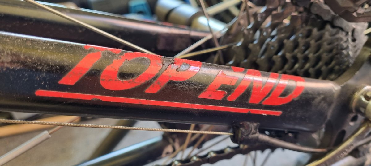 Rachel Morris MBE PLY tweet media