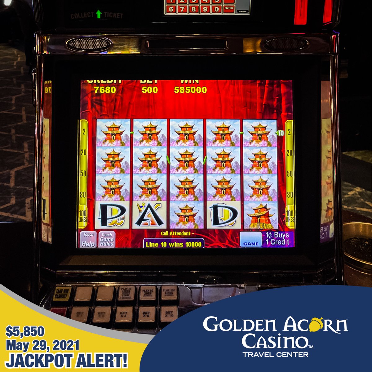 Golden Acorn Casino on Twitter "🐼Panda...🐼Panda...🐼Panda...🚨JACKPOT🚨